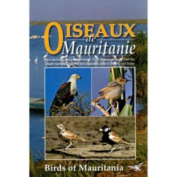 Oiseaux de Mauritanie - Birds of Mauritania
