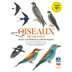 Oiseaux de France - Beaux, vulnérables ou emblématiques