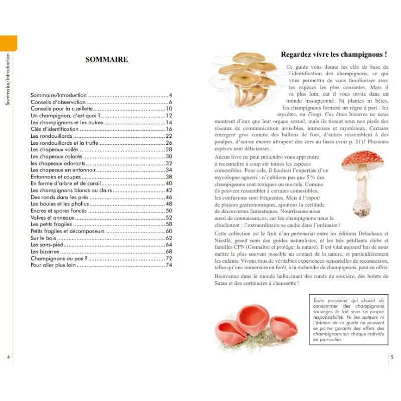 Reconnaître facilement les champignons Reconnaître facilement les champignons