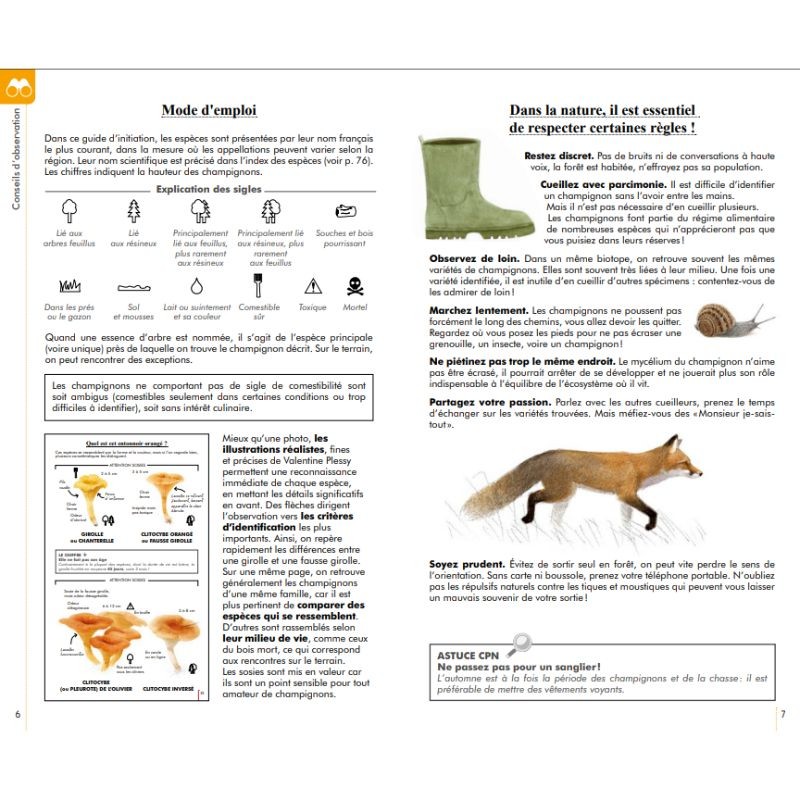 Reconnaître facilement les champignons - Petit guide Delachaux
