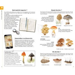 Reconnaître facilement les champignons - Petit guide Delachaux