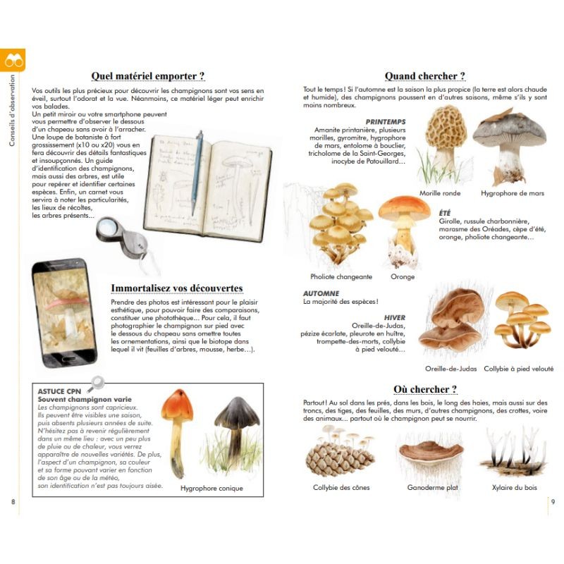 Reconnaître facilement les champignons - Petit guide Delachaux