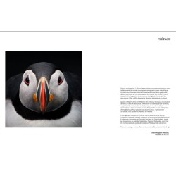 Oiseaux de France - Beaux, vulnérables ou emblématiques