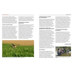 Oiseaux de France - Beaux, vulnérables ou emblématiques