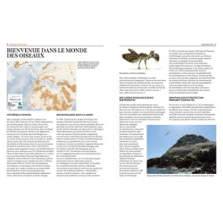 Oiseaux de France - Beaux, vulnérables ou emblématiques