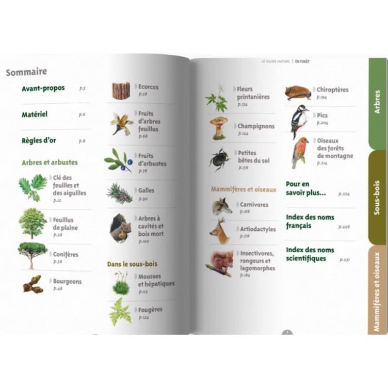 Le guide nature - En forêt - 3ème Edition