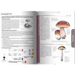 Le guide nature - En forêt - 3ème Edition