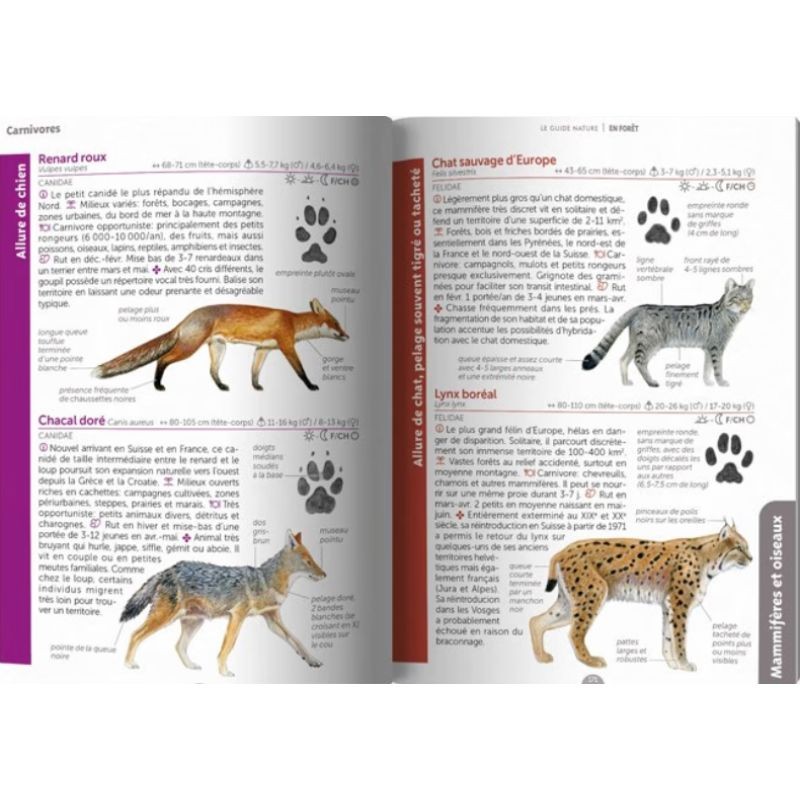 Le guide nature - En forêt - 3ème Edition
