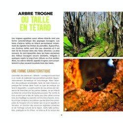 Branchages et bois morts au jardin - Des trésors pour la biodiversité