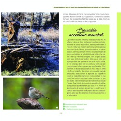 Branchages et bois morts au jardin - Des trésors pour la biodiversité