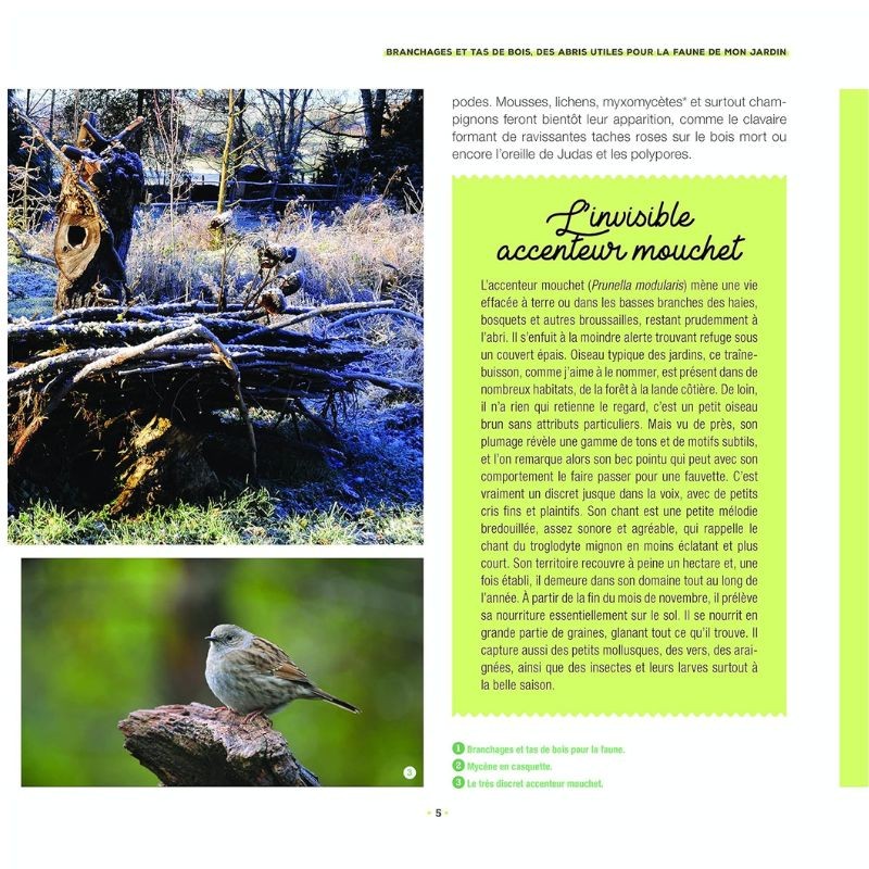 Branchages et bois morts au jardin - Des trésors pour la biodiversité