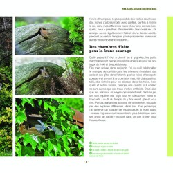 Branchages et bois morts au jardin - Des trésors pour la biodiversité