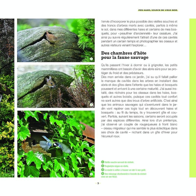 Branchages et bois morts au jardin - Des trésors pour la biodiversité