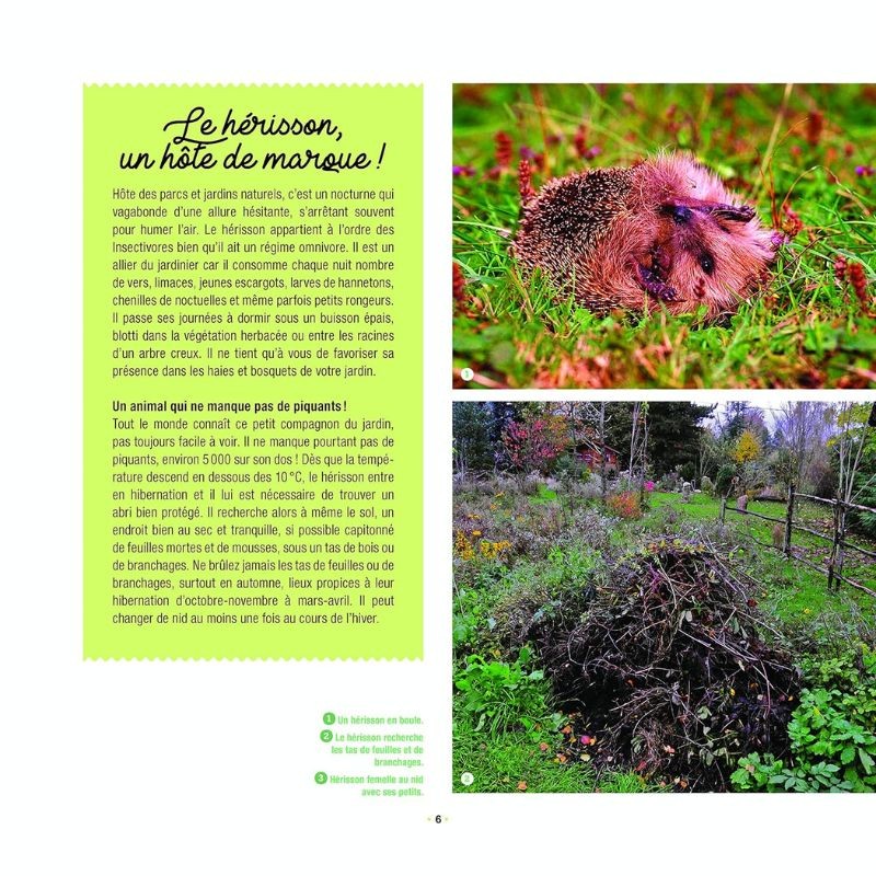 Branchages et bois morts au jardin - Des trésors pour la biodiversité