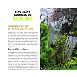 Branchages et bois morts au jardin - Des trésors pour la biodiversité