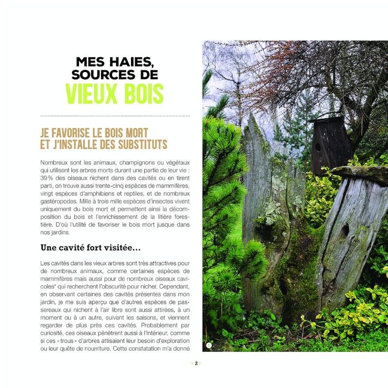 Branchages et bois morts au jardin - Des trésors pour la biodiversité