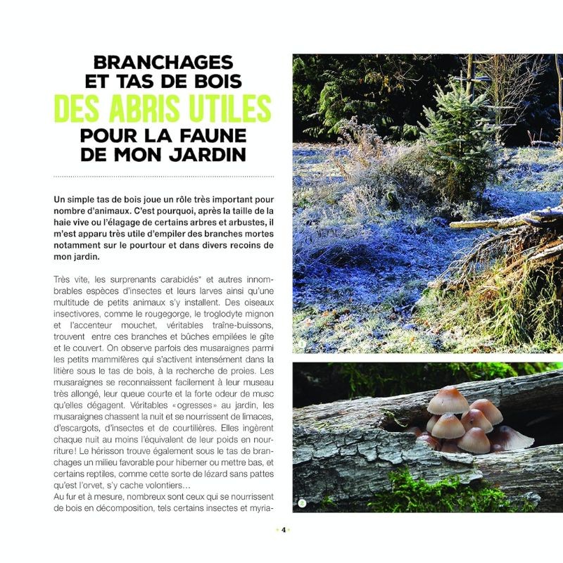 Branchages et bois morts au jardin - Des trésors pour la biodiversité