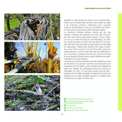 Branchages et bois morts au jardin - Des trésors pour la biodiversité