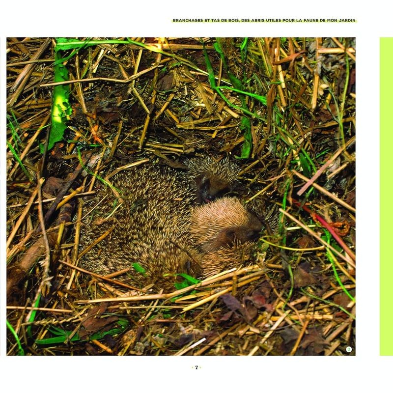 Branchages et bois morts au jardin - Des trésors pour la biodiversité