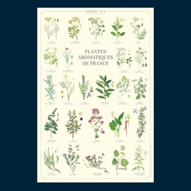 Affiche illustrée - Plantes aromatiques de France