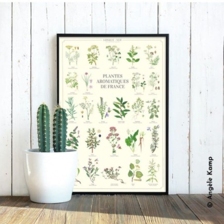 Affiche illustrée - Plantes aromatiques de France