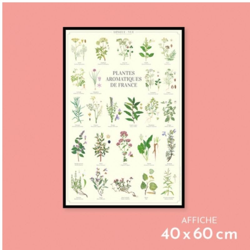 Affiche illustrée - Plantes aromatiques de France