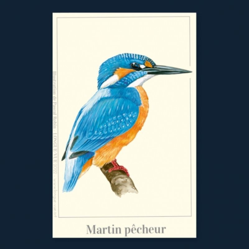Magnet illustré - Martin pêcheur - 5,5x8cm