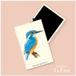 Magnet illustré - Martin pêcheur - 5,5x8cm