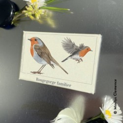 Magnet illustré - Rougegorge familier - 5,5x8cm