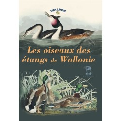 Les oiseaux des étangs de Wallonie