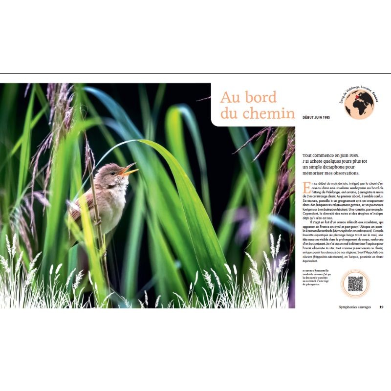 Symphonies sauvages - Carnet de voyages d'un audio-naturaliste