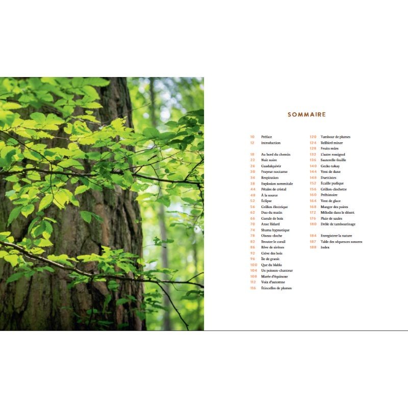 Symphonies sauvages - Carnet de voyages d'un audio-naturaliste