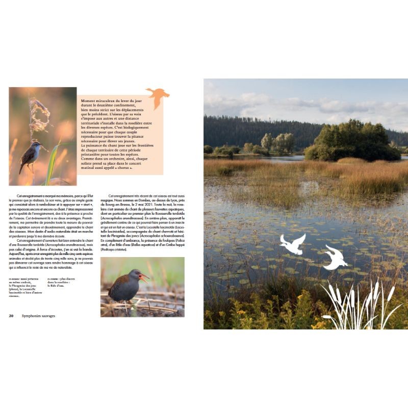 Symphonies sauvages - Carnet de voyages d'un audio-naturaliste