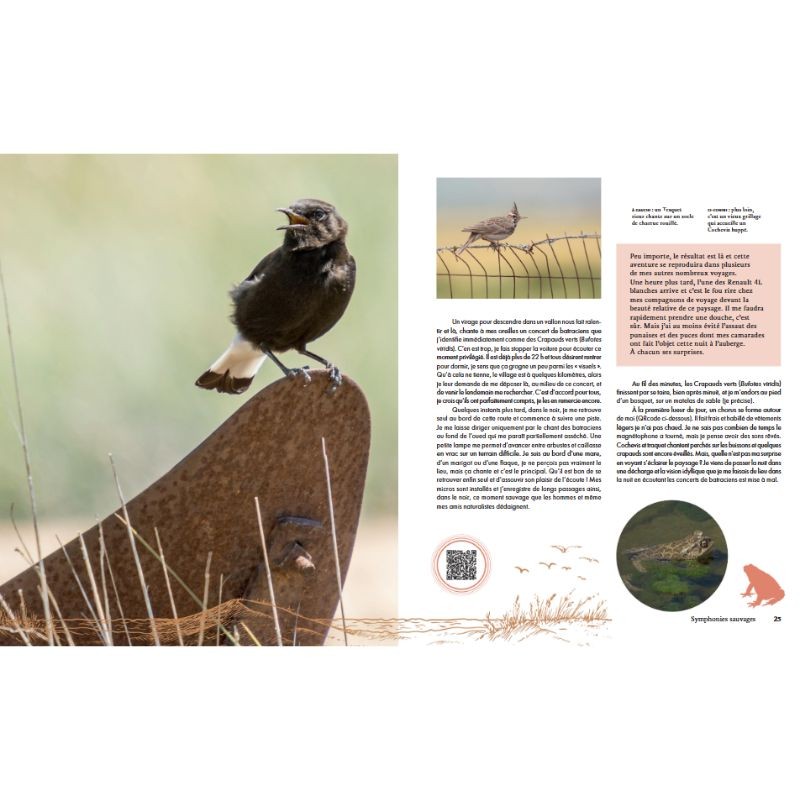 Symphonies sauvages - Carnet de voyages d'un audio-naturaliste