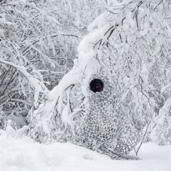 Filet de camouflage 3D feuilles - Buteo Photo Gear 1,5 x 3 m - Neige ou Roseaux