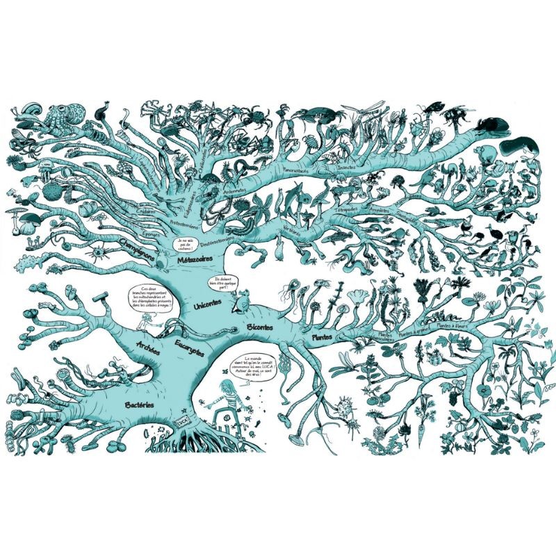 La Traversée des ères - Tome 1 : les origines - BD La Traversée des ères - Tome 1 : les origines - BD