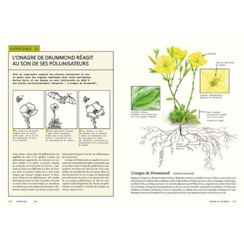 Sensibles par nature - La vie invisible des plantes révélée par les sciences Sensibles par nature - La vie invisible des plantes révélée par les sciences