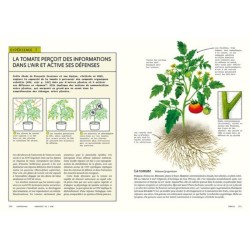 Sensibles par nature - La vie invisible des plantes révélée par les sciences Sensibles par nature - La vie invisible des plantes révélée par les sciences