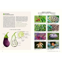 Sensibles par nature - La vie invisible des plantes révélée par les sciences Sensibles par nature - La vie invisible des plantes révélée par les sciences