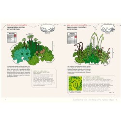 Sensibles par nature - La vie invisible des plantes révélée par les sciences Sensibles par nature - La vie invisible des plantes révélée par les sciences