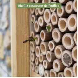 Hôtel à abeilles solitaires "Maya" - Pin Douglas/Epicéa - Nouvelle version Hôtel à abeilles solitaires "Maya" - Pin Douglas/Epicéa - Nouvelle version