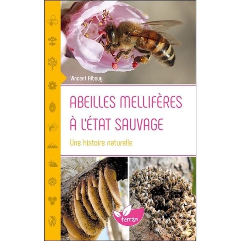 Abeilles mellifères à l'état sauvage - Une histoire naturelle Abeilles mellifères à l'état sauvage - Une histoire naturelle