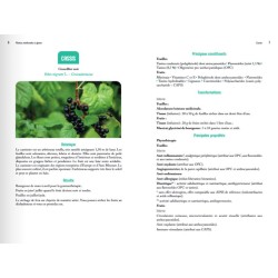 Plantes médicinales à glaner – 58 espèces pour prendre soin de sa santé Plantes médicinales à glaner – 58 espèces pour prendre soin de sa santé