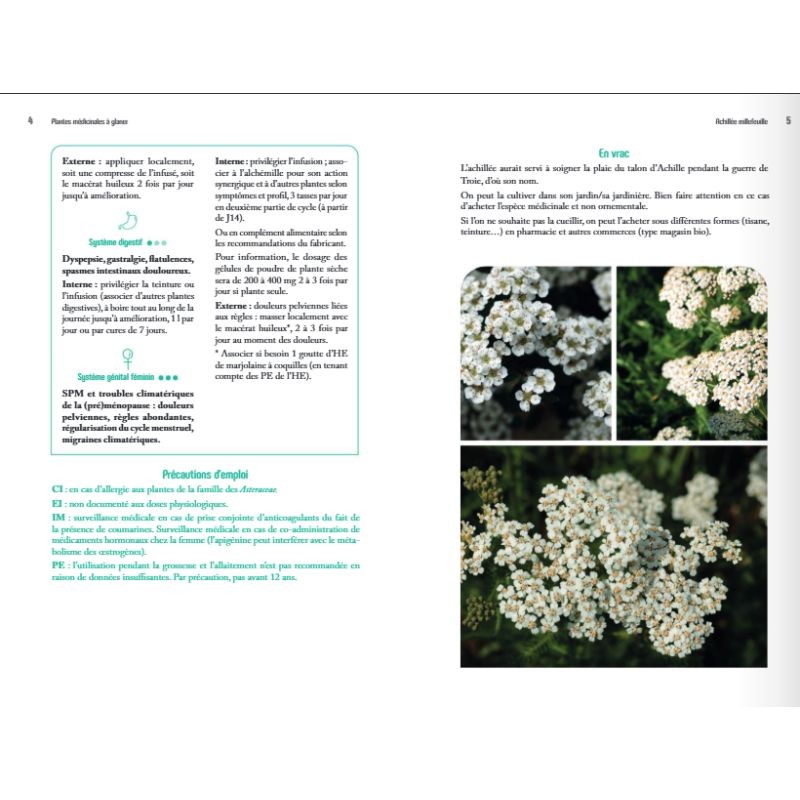 Plantes médicinales à glaner – 58 espèces pour prendre soin de sa santé Plantes médicinales à glaner – 58 espèces pour prendre soin de sa santé