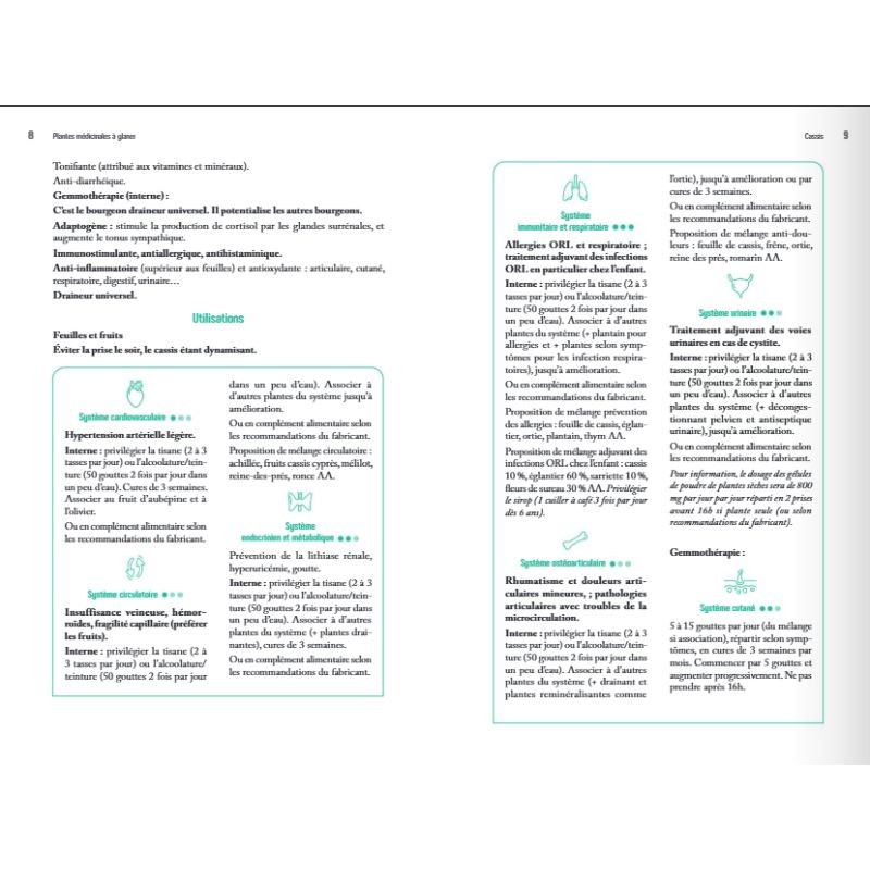 Plantes médicinales à glaner – 58 espèces pour prendre soin de sa santé Plantes médicinales à glaner – 58 espèces pour prendre soin de sa santé