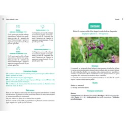 Plantes médicinales à glaner – 58 espèces pour prendre soin de sa santé Plantes médicinales à glaner – 58 espèces pour prendre soin de sa santé