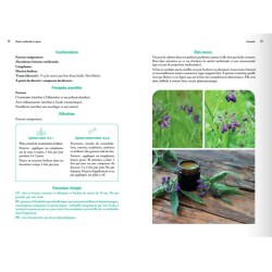 Plantes médicinales à glaner – 58 espèces pour prendre soin de sa santé Plantes médicinales à glaner – 58 espèces pour prendre soin de sa santé