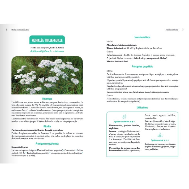 Plantes médicinales à glaner – 58 espèces pour prendre soin de sa santé Plantes médicinales à glaner – 58 espèces pour prendre soin de sa santé