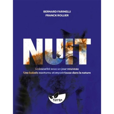 Nuit – L’obscurité sous un jour nouveau