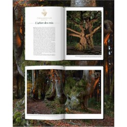 Arbres - Secrets de géants Arbres - Secrets de géants
